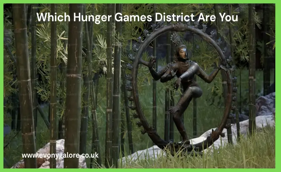 Which Hunger Games District Are You