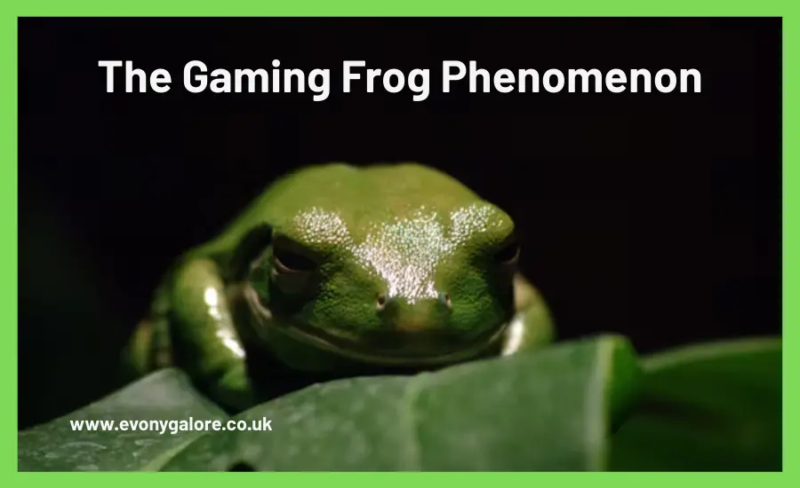 the-gaming-frog-phenomenon-evonygalore