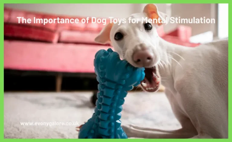 The Importance of Dog Toys for Mental Stimulation